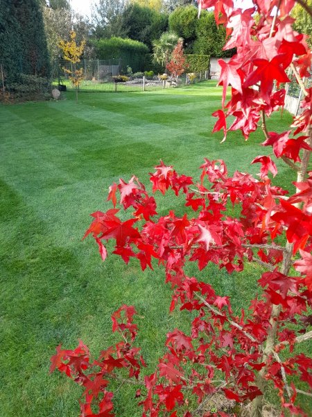 Entretien de vos jardins